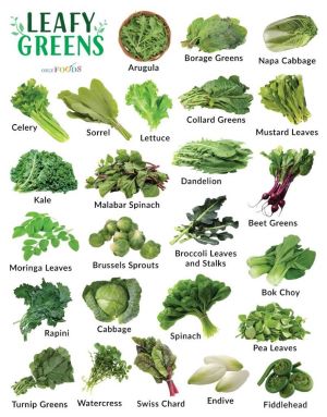 Leafy Greens Chart: Arugula, Borage Greens, Napa Cabbage, Celery, Sorrel, Lettuce, Collard Greens, Mustard Leaves, Kale, Malabar Spinach, Dandelion, Beet Greens, Moringa Leaves, Brussels Sprouts, Broccoli Leaves and Stalks, Bok Choy, Rapini, Cabbage, Spinach, Pea Leaves, Turnip Greens, Watercress, Swiss Chard, Endive, Fiddlehead
